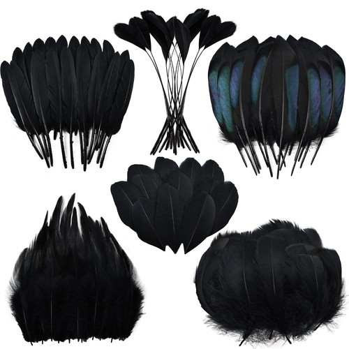 180 pcs black feathers - pcs,