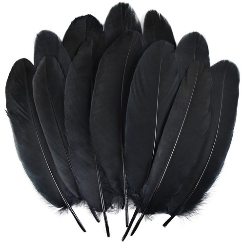 150pcs inches natural - 150pcs,