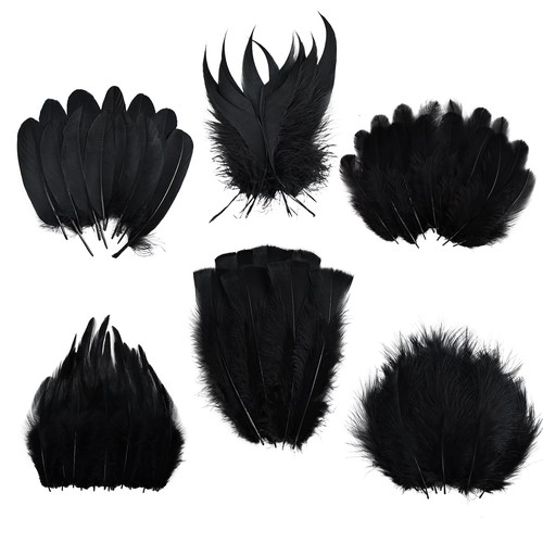 Black craft feathers - feathers, wholesale