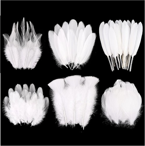 White craft feathers - white,