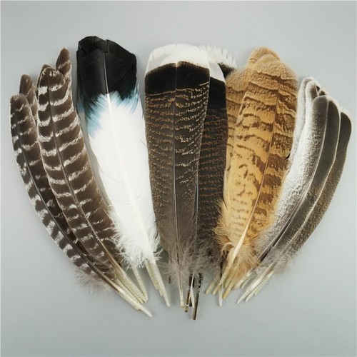 Beautiful pcs natural eagle - beautiful,